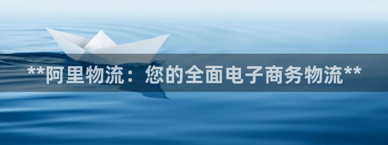 28圈玩法：**阿里物流：您的全面电