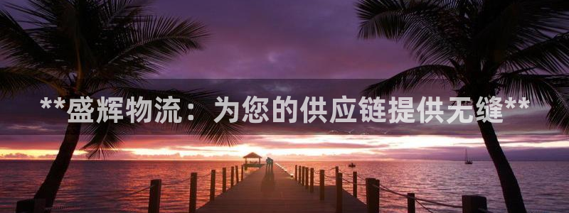 28圈游戏链接：**盛辉物流：为您的