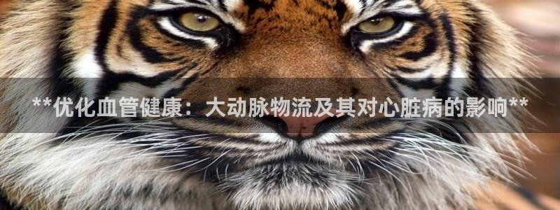 28圈昵称：**优化血管健康：大动脉