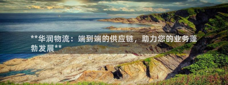 28圈加拿大6.0：**华润物流：端