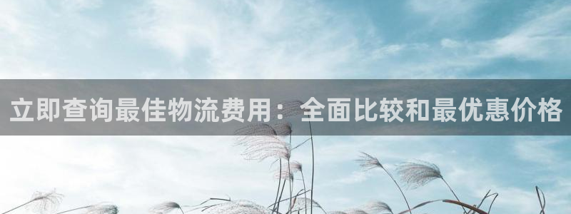 28圈软件：立即查询最佳物流费用：全