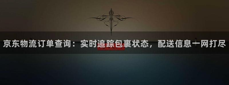 28圈登录不上咋回事：京东物流订单查