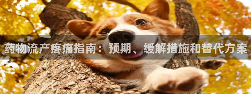 28圈软件是诈骗吗：药物流产疼痛指南