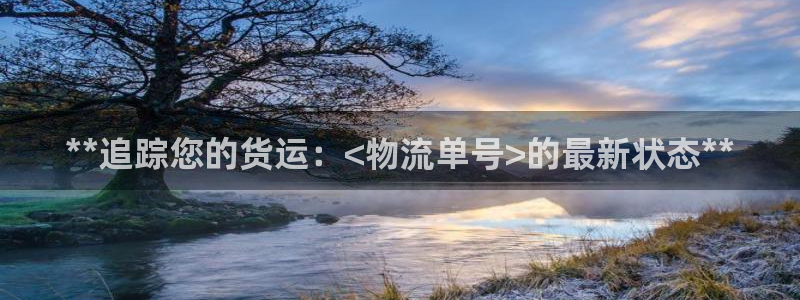 28圈昵称：**追踪您的货运：<物流