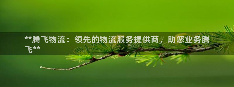 28圈app官网少林足球：**腾飞物