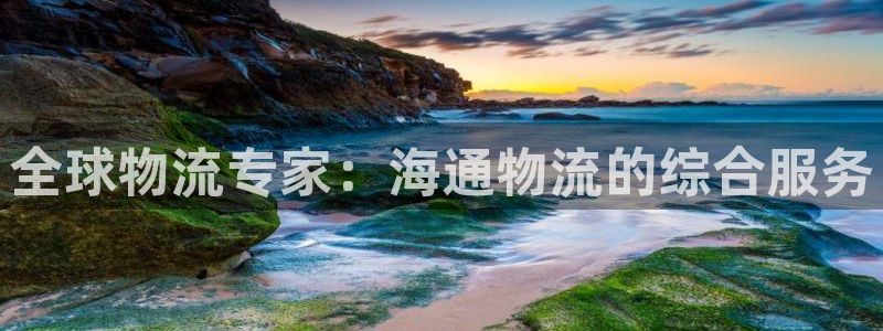 28圈龙虎：全球物流专家：海通物流的