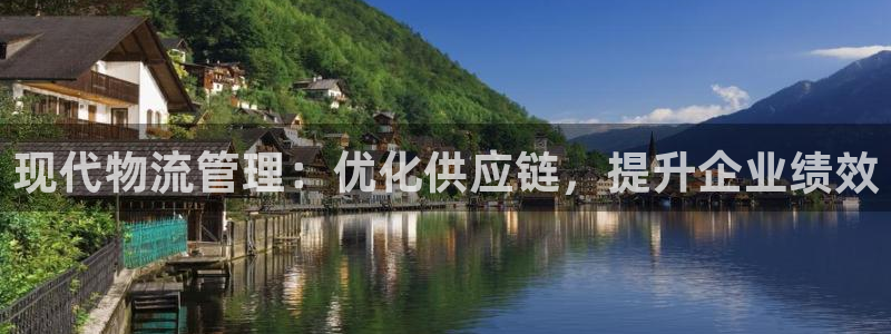 28圈p扣除：现代物流管理：优化供应