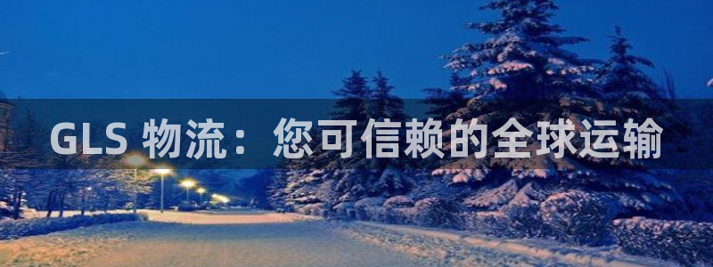 28圈加拿大下载：GLS 物流：您可