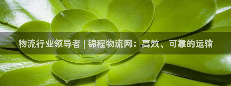 28圈链接是什么：物流行业领导者 |