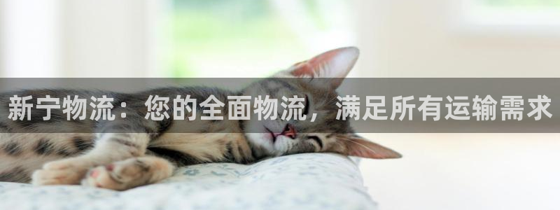 28圈怎么申请代理：新宁物流：您的全