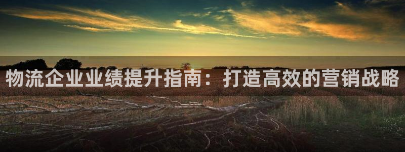 28圈.ccmo：物流企业业绩提升指