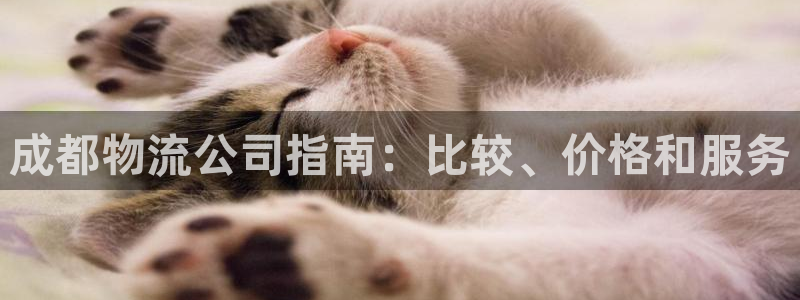 28圈入口问一问：成都物流公司指南：