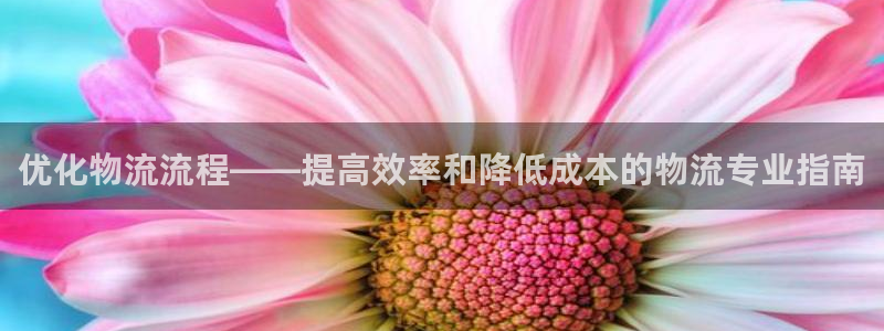 28圈app怎么注册账号：优化物流流