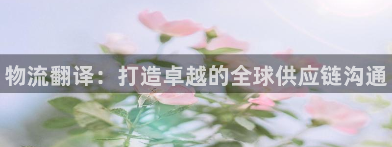 28圈预测：物流翻译：打造卓越的全球