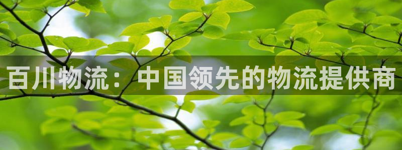 28圈注册网站多少：百川物流：中国领