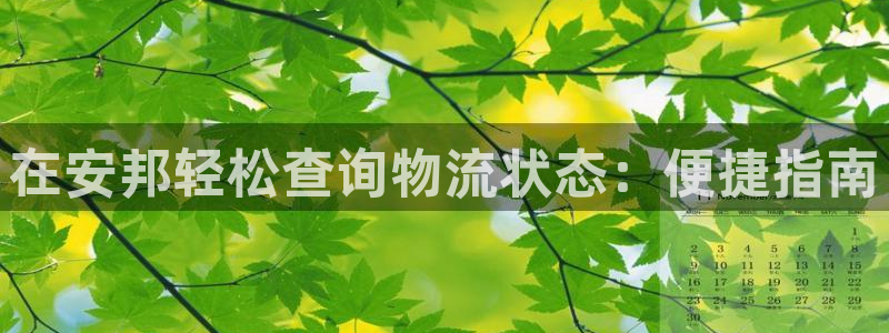 28圈加拿大怎么玩：在安邦轻松查询物