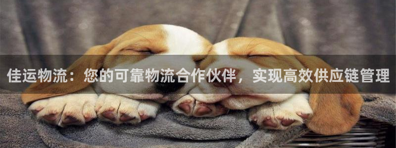28圈正规吗