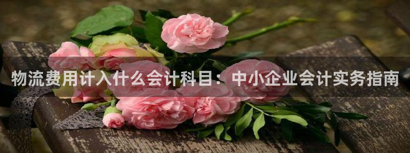 加拿大28圈数字规则：物流费用计入什