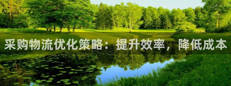 28圈加拿大模拟器：采购物流优化策略