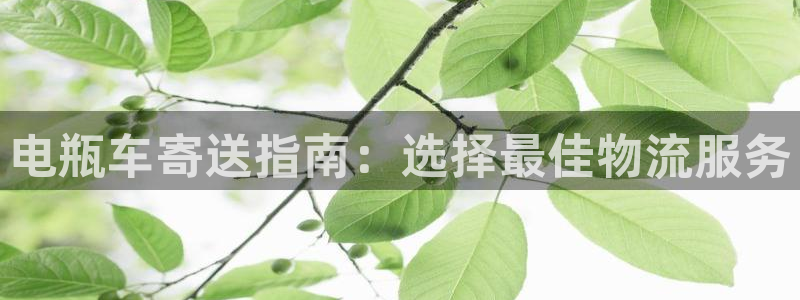 麻将128圈：电瓶车寄送指南：选择最