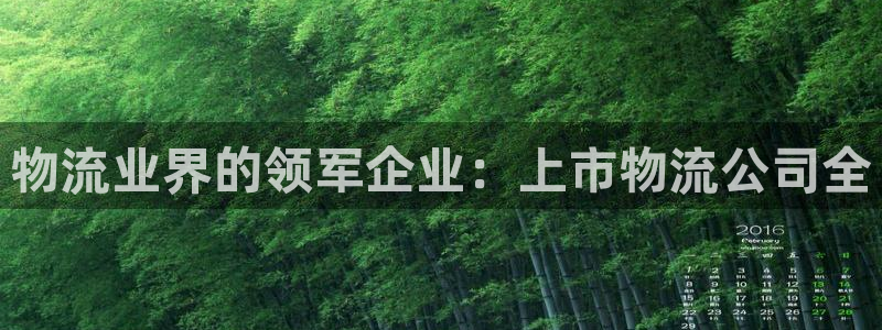 28圈是正规平台吗：物流业界的领军企