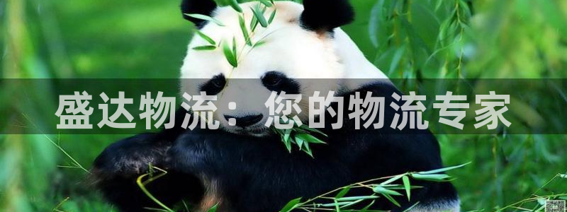 28圈能提现吗：盛达物流：您的物流专