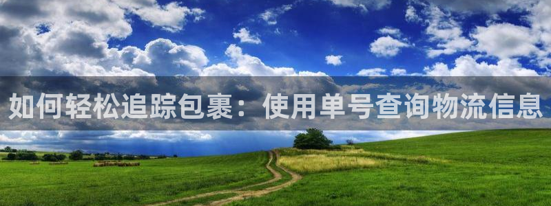 28圈免费充钱：如何轻松追踪包裹：使