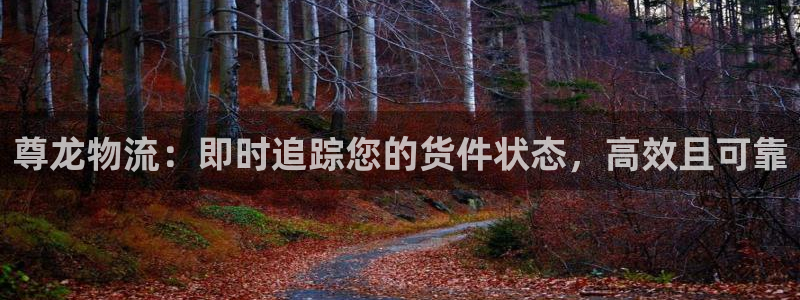 28圈黑钱：尊龙物流：即时追踪您的货