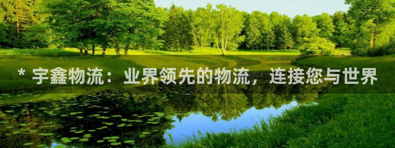 28圈口：* 宇鑫物流：业界领先的物