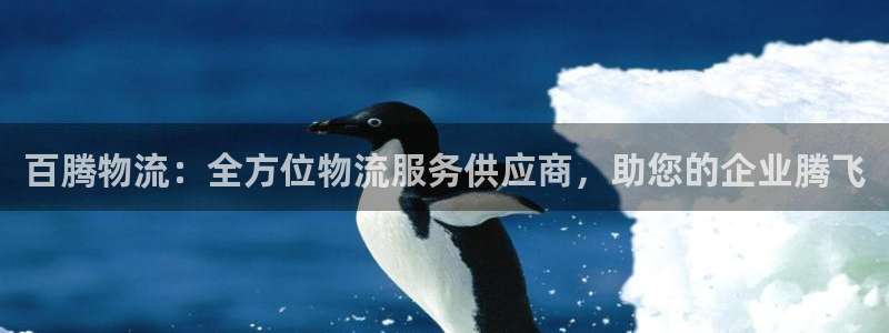 28圈预测网