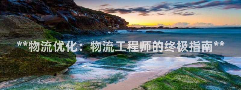 28圈反水怎么算：**物流优化：物流
