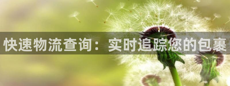 28圈违法吗：快速物流查询：实时追踪
