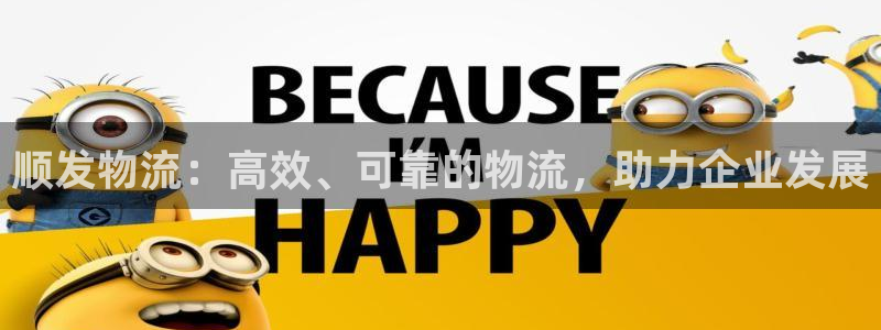 28圈登录不上咋回事：顺发物流：高效