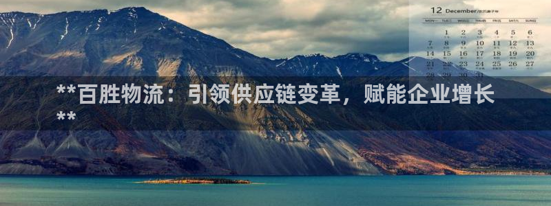28圈游戏官网版：**百胜物流：引领