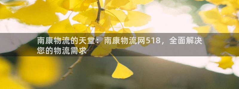 28圈娱乐官网网页入口