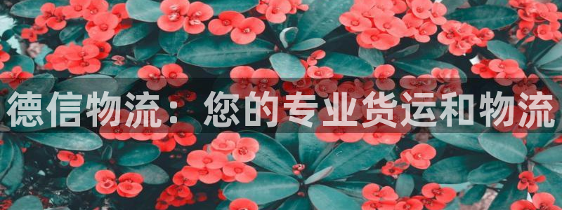 28圈注册号：德信物流：您的专业货运