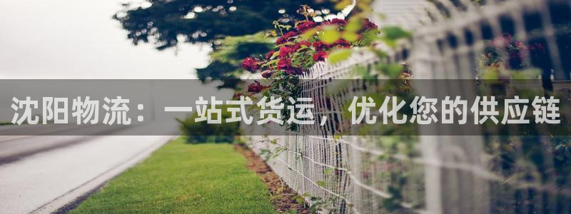 28圈注册网站APP：沈阳物流：一站
