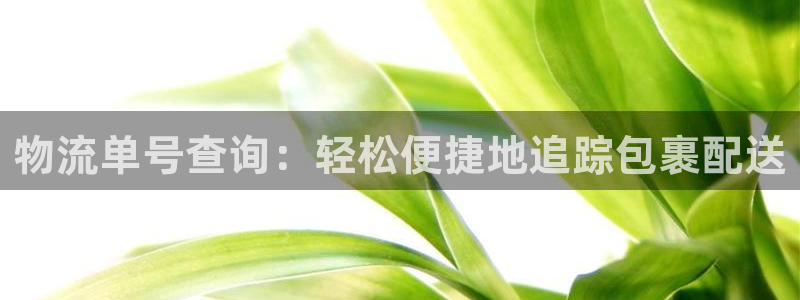 28圈注册流程：物流单号查询：轻松便
