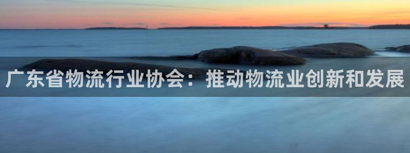 28圈加拿大真假怎么看：广东省物流行