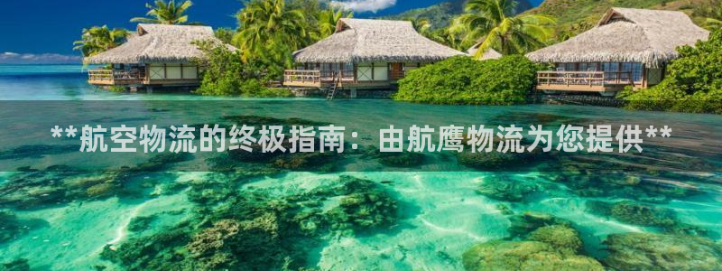 28圈在线预测官网：**航空物流的终