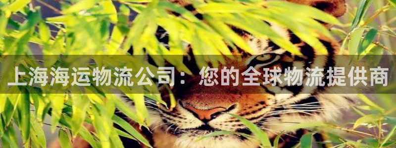 28圈官方官网版