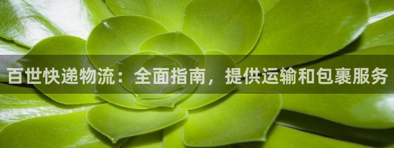28圈比特28预测在线预测：百世快递