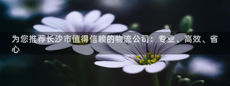 28圈注册与教程：为您推荐长沙市值得