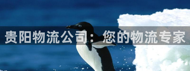 28圈怎么下载