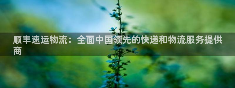 28圈游戏最新版：顺丰速运物流：全面