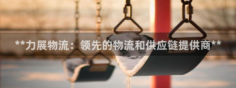 南宫28圈怎么注册：**力展物流：领