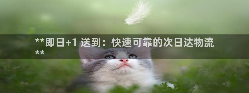 28圈相信品牌的力量：**即日+1 
