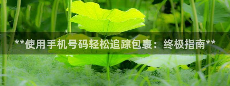 28圈.ccmpc正版：**使用手机