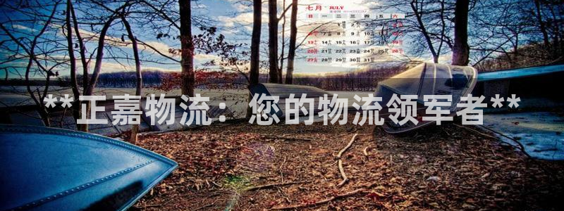 28圈网赌案件：**正嘉物流：您的物