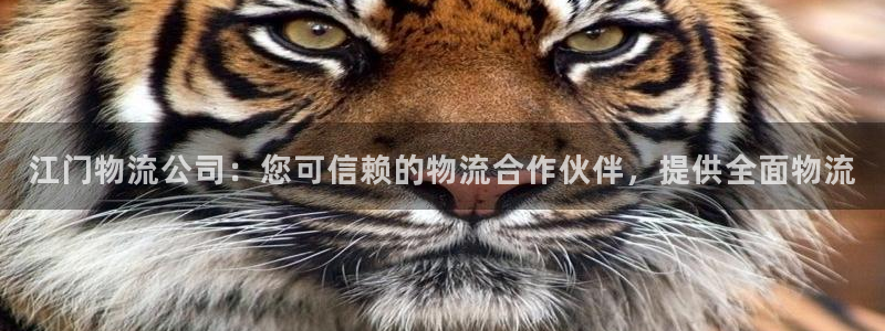 28圈正规吗：江门物流公司：您可信赖